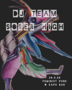 DJ-Team Sober High